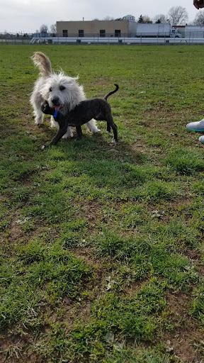 Park «Memorial Field Park», reviews and photos, 46 Lower Rd, Linden, NJ 07036, USA