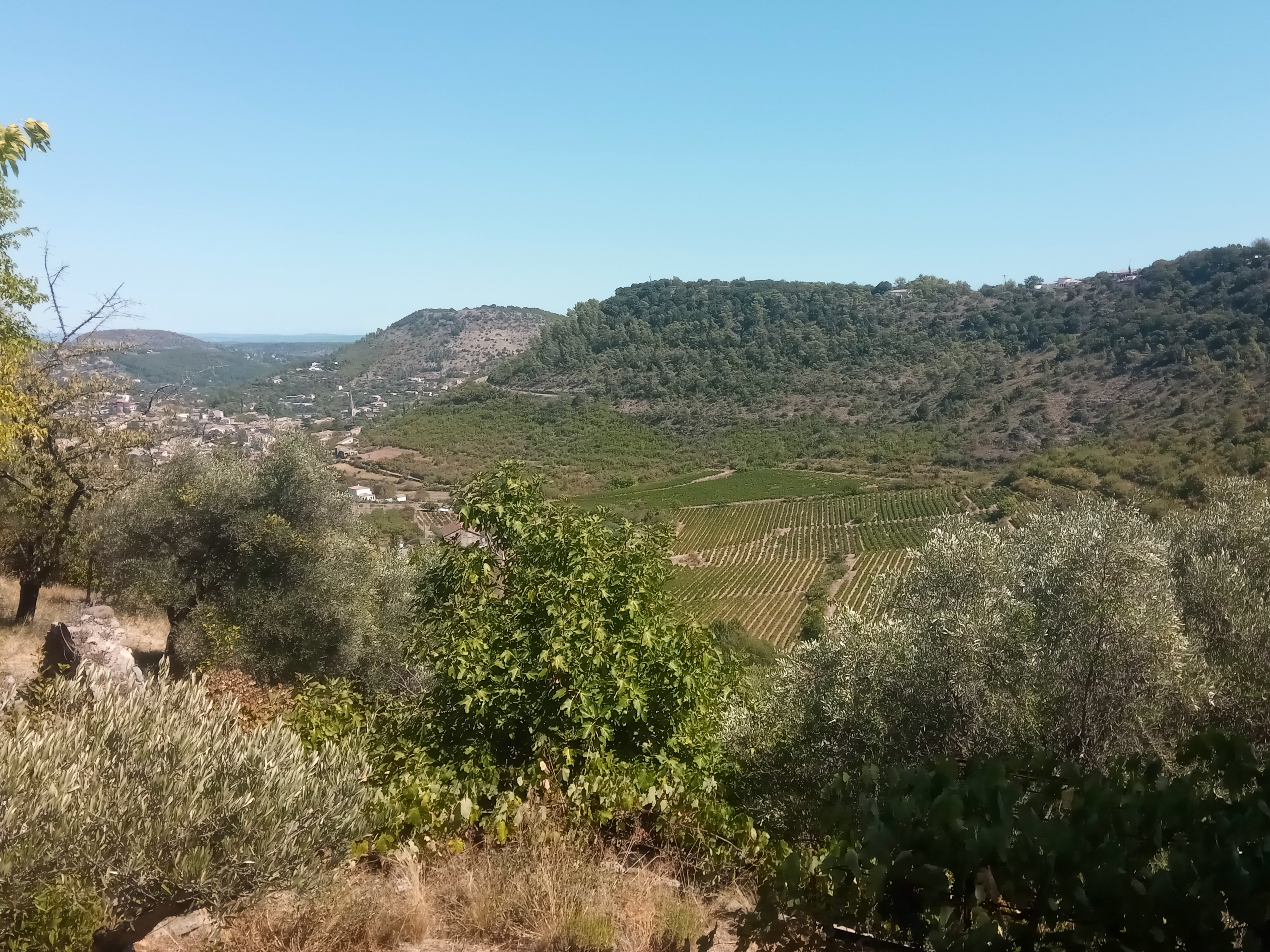 Photo n° 3 de l'avis de jean-marc.l fait le 06/09/2020 à 19:42