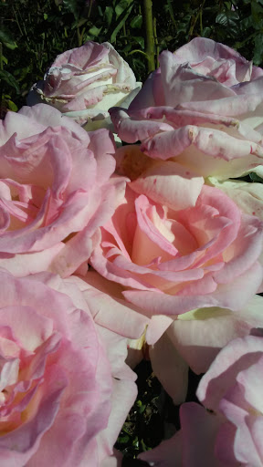 Park «Marine View Park», reviews and photos, 20945 Marine View Dr SW, Normandy Park, WA 98166, USA