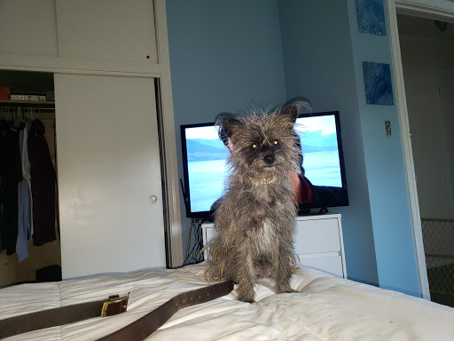 Pet Supply Store «Petco Animal Supplies», reviews and photos, 1400f 75th St, Downers Grove, IL 60516, USA