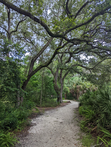 Park «Moccasin Lake Nature Park», reviews and photos, 2750 Park Trail Ln, Clearwater, FL 33759, USA