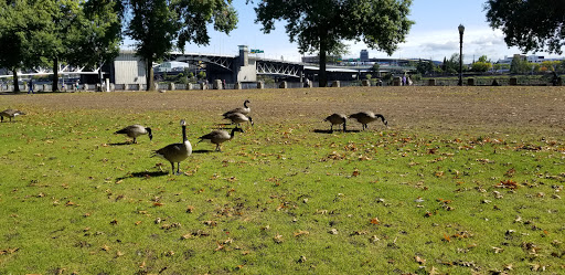 Park «Mill Ends Park», reviews and photos, 56 SW Taylor St, Portland, OR 97204, USA