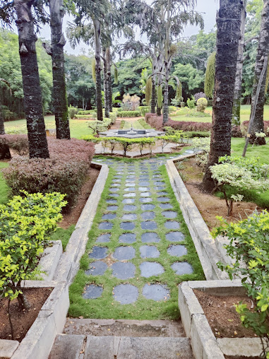 Google Maps image 22