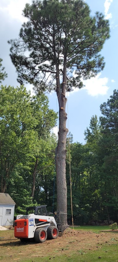 Burkey's Tree Service LLC