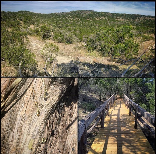 Park «Wild Basin Wilderness Preserve», reviews and photos, 805 N Capital of Texas Hwy, Austin, TX 78746, USA