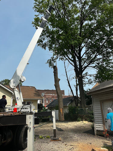 Tames Tree Services Masonry & Landscaping in New Jersey
