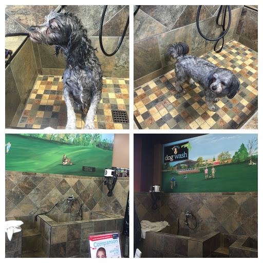 Pet Store «Pet Valu», reviews and photos, 14712 Baltimore Ave, Laurel, MD 20707, USA