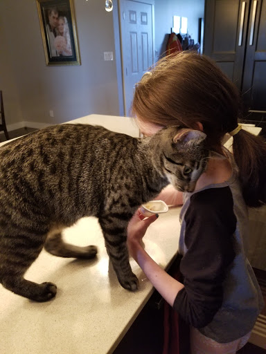 Pet Vet image