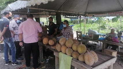 Saudagar durian bukit abal