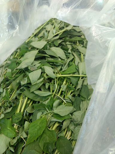 Shopping Mall «Uni-Dale Mall», reviews and photos, 608 University Ave W, St Paul, MN 55103, USA