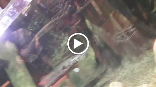 Sporting Goods Store «Bass Pro Shops Base Camp», reviews and photos, 2500 E Kearney St, Springfield, MO 65803, USA