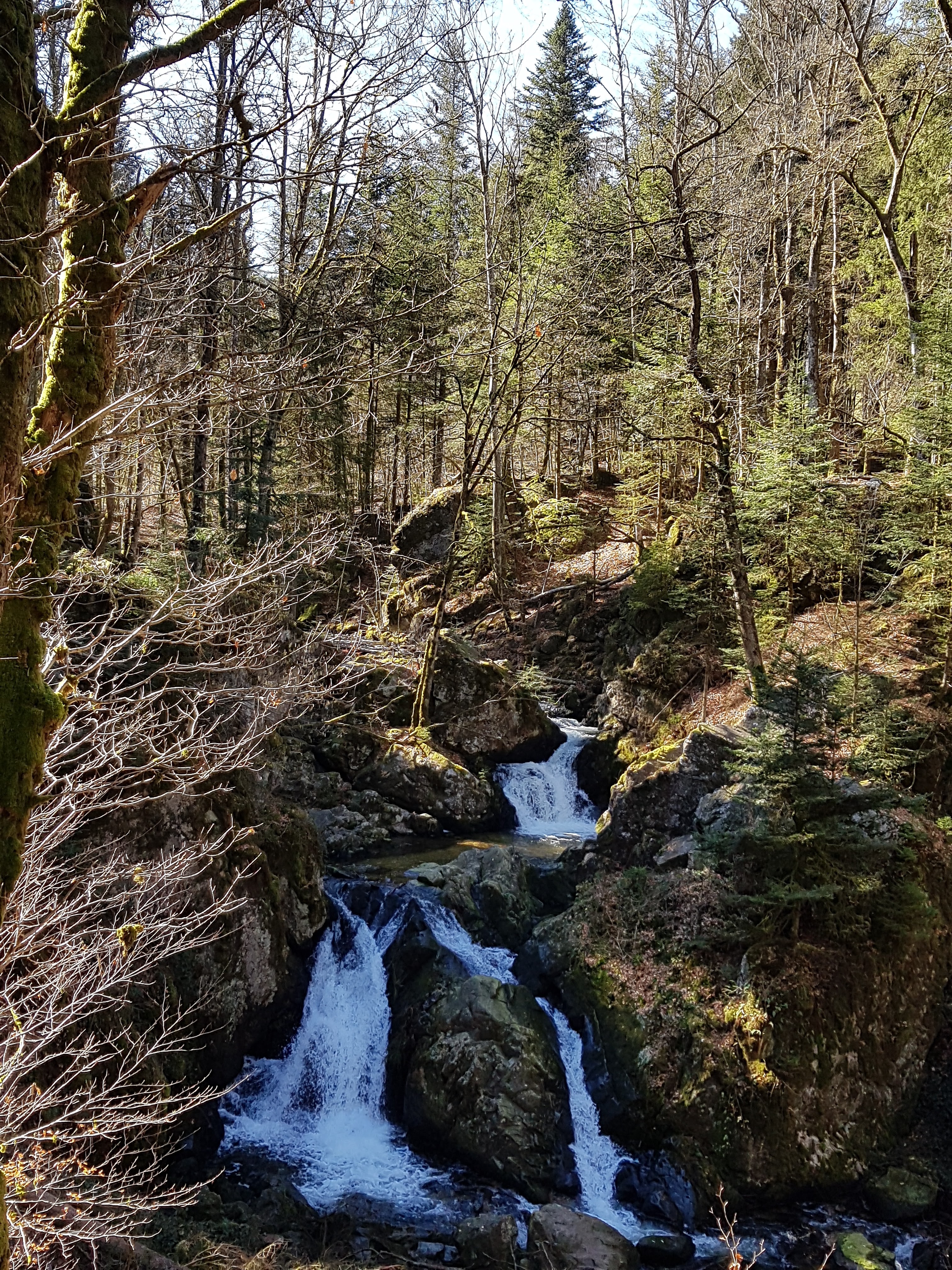 Photo n° 1 de l'avis de Éric.o fait le 27/02/2019 à 15:14