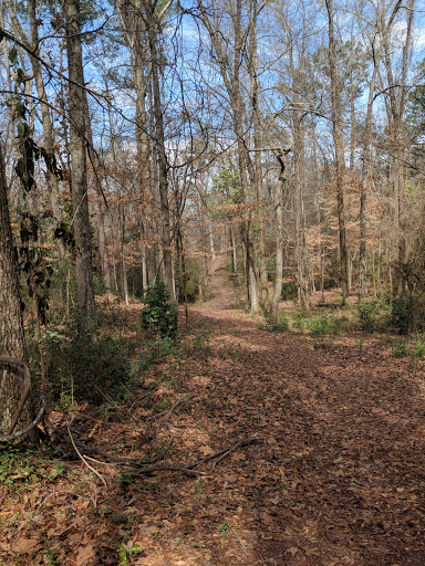 Park «Bowers Park Disc Golf Course», reviews and photos, Bowers Park Dr, Tuscaloosa, AL 35405, USA