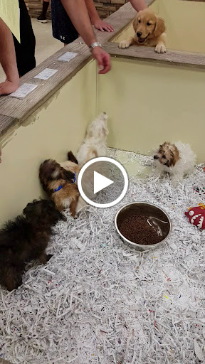 Pet Store «The Pet Shop», reviews and photos, 1988 MacArthur Rd, Whitehall, PA 18052, USA