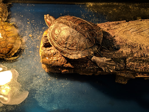 Pet Store «Animal House», reviews and photos, 7869 Hamilton Ave, Cincinnati, OH 45231, USA