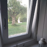 Photo n°2 de l'avis de Rute.a fait le 27/10/2022 à 14:49 sur le  Quinta da Abegoa à Santo António das Areias