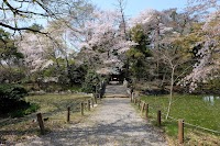 長楽寺 蓮池