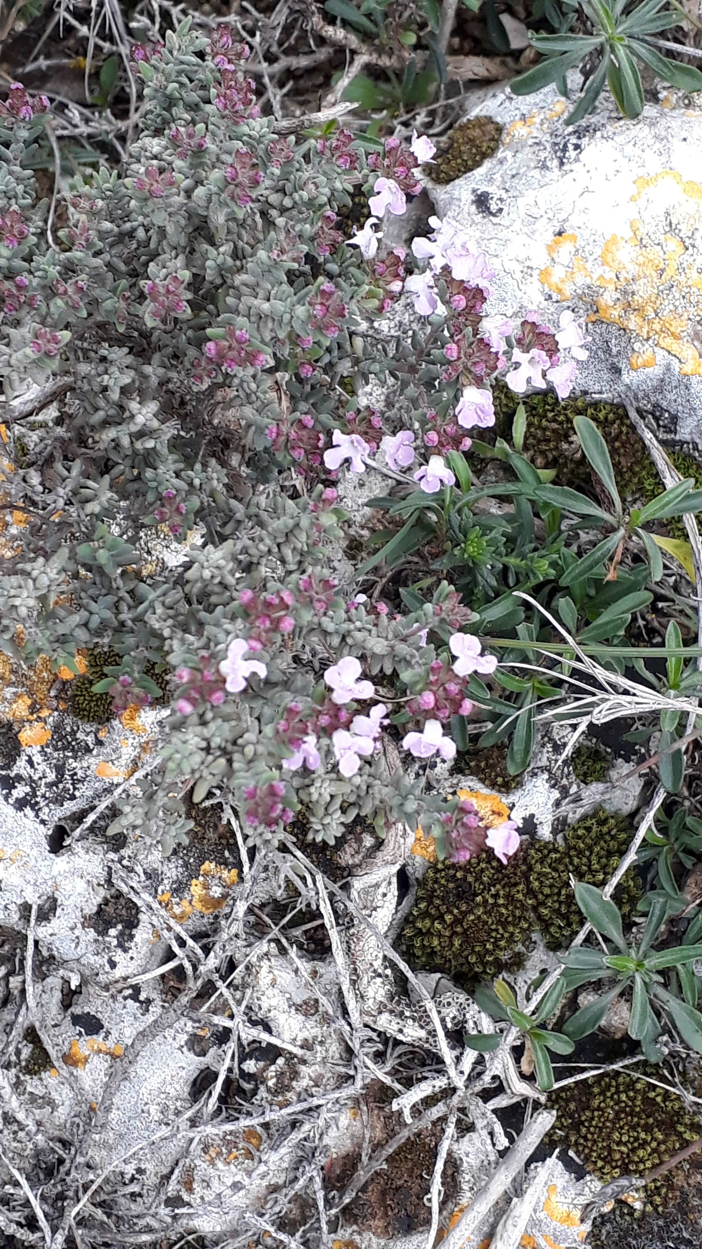 Photo n° 6 de l'avis de Claudine.o fait le 17/02/2020 à 12:44
