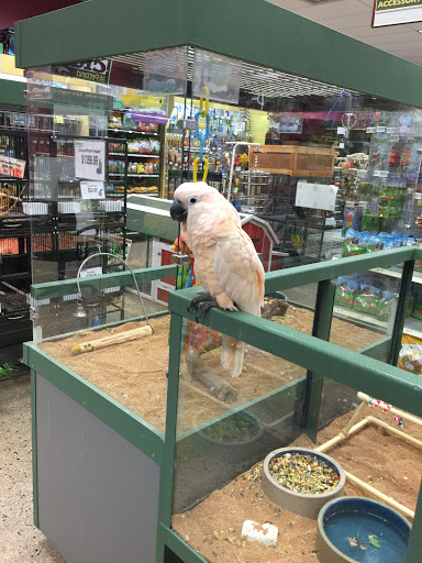 Pet Supply Store «Petland Dallas», reviews and photos, 11909 Preston Rd, Dallas, TX 75230, USA