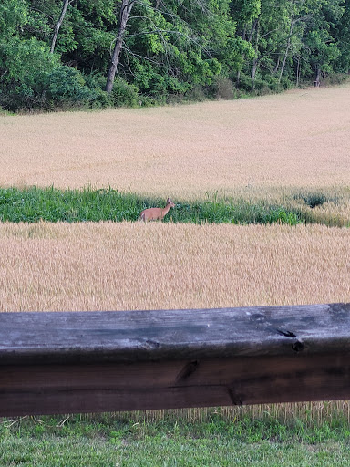 Golf Club «Winters Run Golf Course», reviews and photos, 1000 N Tollgate Rd, Bel Air, MD 21014, USA