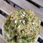 Photo n°10 de l'avis de Justyna.o fait le 14/09/2021 à 20:39 sur le  tenzan lab. à Berlin