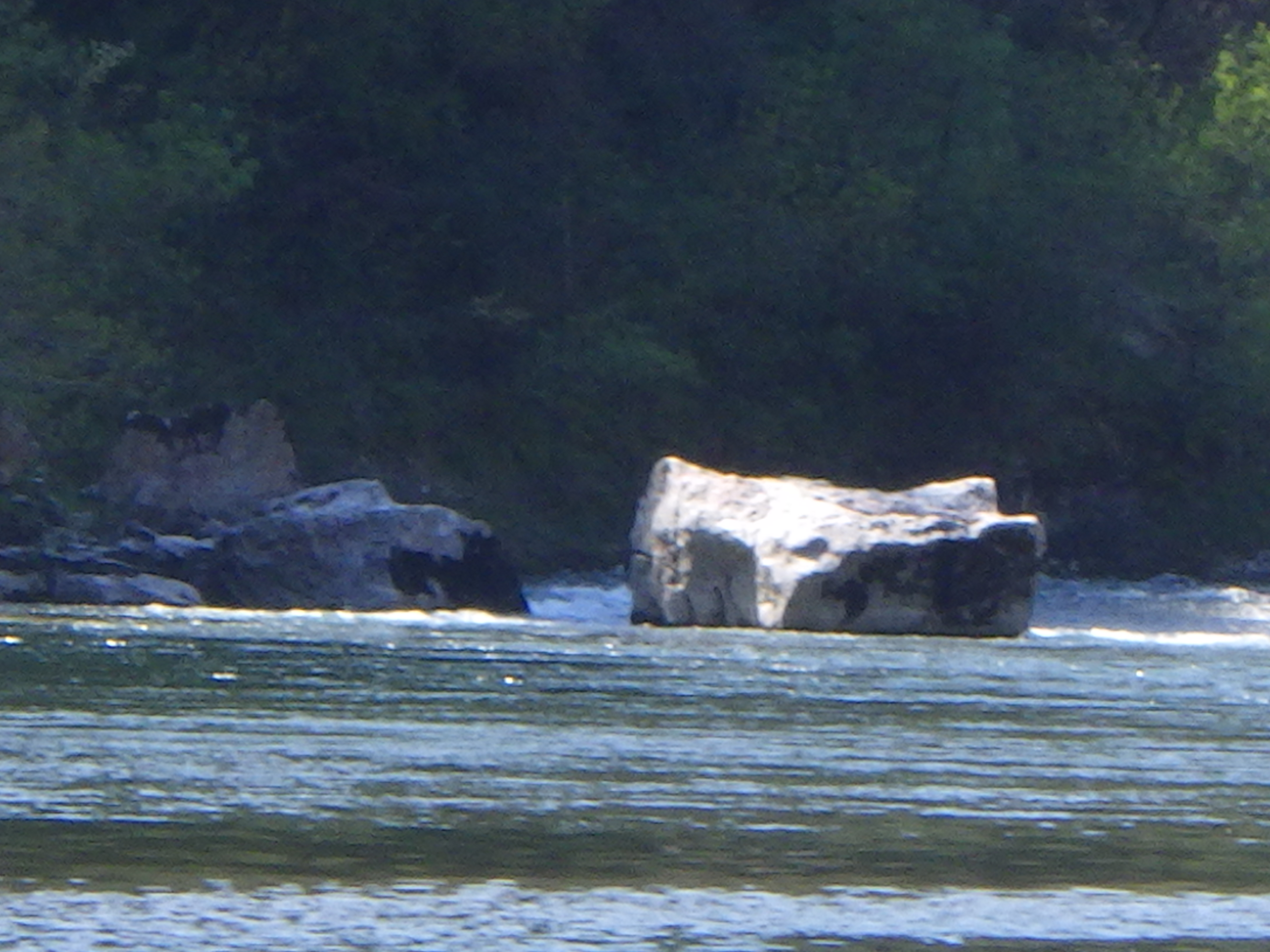 Photo n° 8 de l'avis de Jean-Philippe.e fait le 18/04/2019 à 07:46
