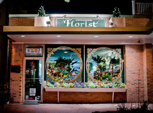 Florist «Herndon Florist, Inc.», reviews and photos, 716 Lynn St, Herndon, VA 20170, USA