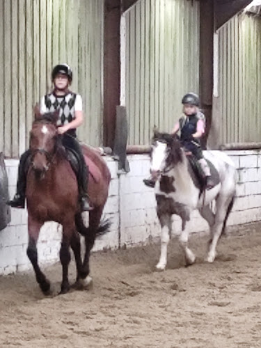 Beoordelingen van Manège Racing Team in Gent - Sportschool