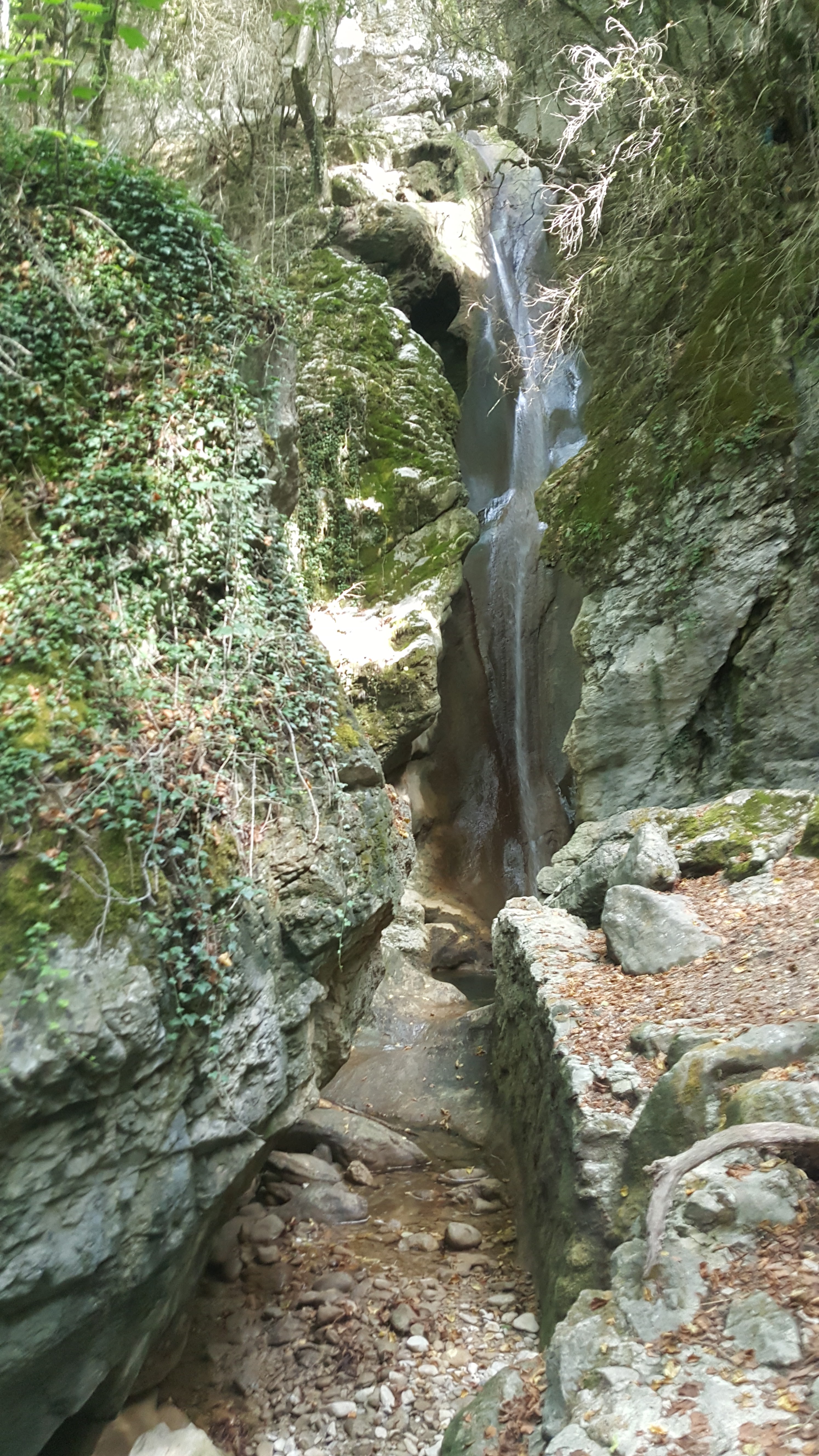 Photo n° 33 de l'avis de Vivi.o fait le 10/09/2018 à 07:44