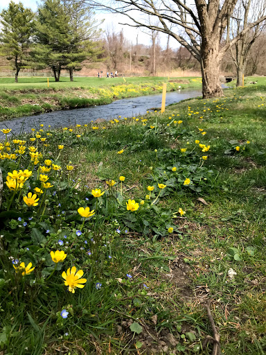 Golf Course «Maple Moor Golf Course», reviews and photos, 1128 North St, White Plains, NY 10605, USA