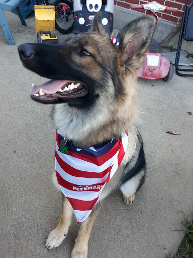 Pet Supply Store «PetSmart», reviews and photos, 2102 W Union Blvd #22A, Bethlehem, PA 18018, USA