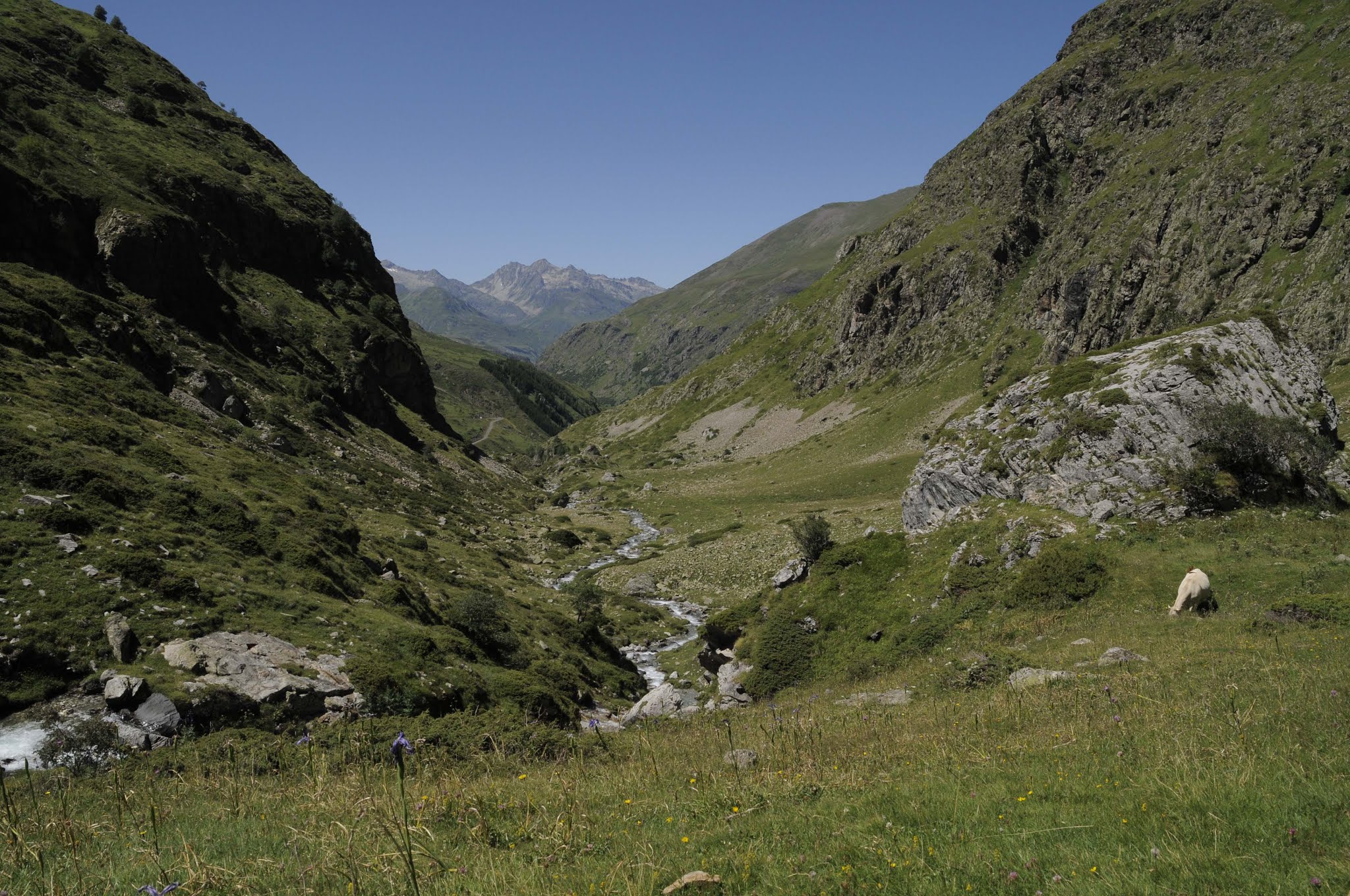 Photo n° 41 de l'avis de pierre.r fait le 26/02/2019 à 00:54