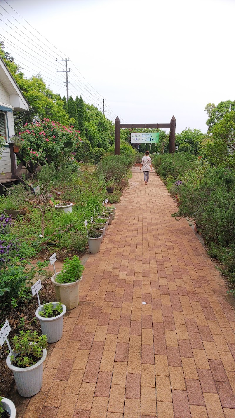 酒々井ハーブガーデンハーブの丘 千葉県酒々井町墨 植物園 公園 グルコミ
