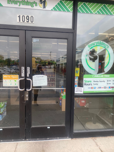 Dollar Store «Dollar Tree», reviews and photos, 1090 State St, Lemont, IL 60439, USA