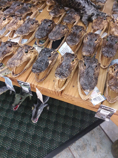 Supermarket «Kings Supermarket & Liquor», reviews and photos, 7562 US-192, Kissimmee, FL 34747, USA