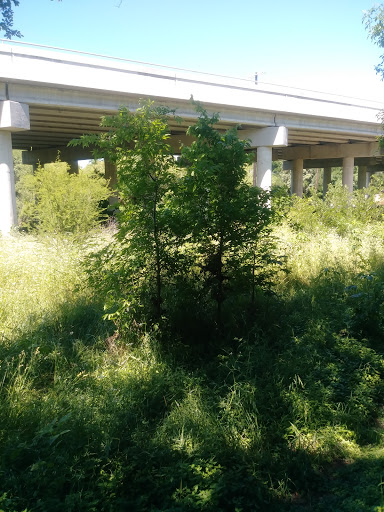 Park «John James Park», reviews and photos, 3910 Rittiman Rd, San Antonio, TX 78234, USA