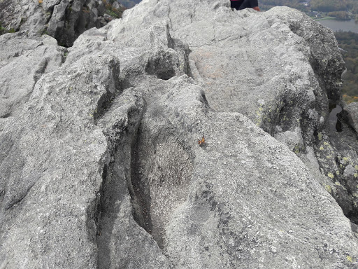 Nature Preserve «Grandfather Mountain», reviews and photos, 2050 Blowing Rock Hwy, Linville, NC 28646, USA