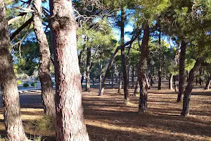 Negrete Park - Parque Deportivo Natural image