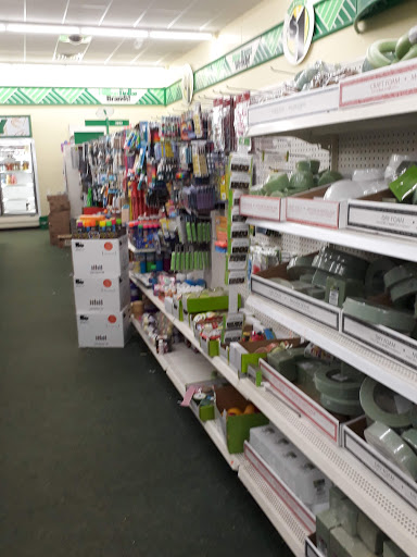 Dollar Store «Dollar Tree», reviews and photos, 2215 S Telegraph Rd, Bloomfield Hills, MI 48302, USA