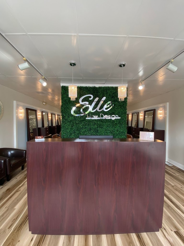 Elle Hair Design - Innovative Style and Creative Color 19008