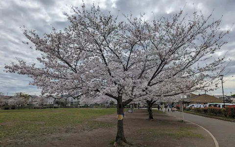 Tsuboi Kinrin Park image