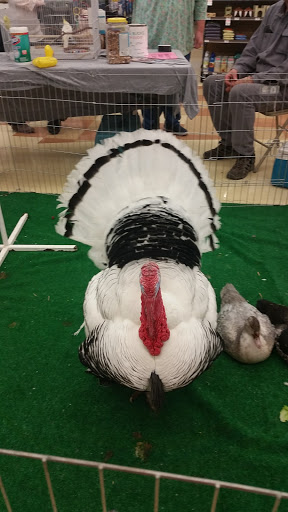 Pet Supply Store «Petco Animal Supplies», reviews and photos, 3637 2700 W, West Valley City, UT 84119, USA