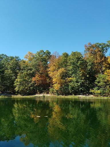 Park «Sherando Park Pool», reviews and photos, 150 Park Dr, Stephens City, VA 22655, USA