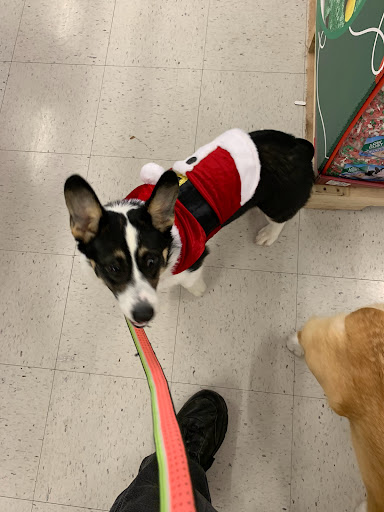 Pet Supply Store «PetSmart», reviews and photos, 8315 SW Jack Burns Blvd, Wilsonville, OR 97070, USA