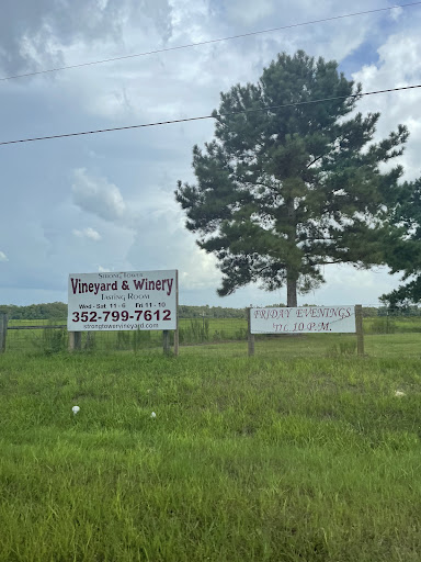 Winery «Strong Tower Vineyard & Winery», reviews and photos, 17810 Forge Dr, Spring Hill, FL 34610, USA