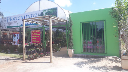 Floricultura 4 Estações