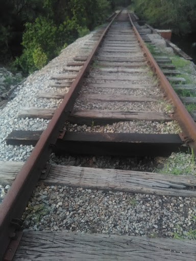 Seafood Market «Ocean Fish Market», reviews and photos, 302 Kingston St, Conway, SC 29526, USA