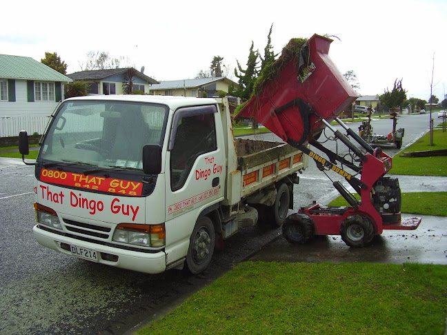 That Dingo Guy - Construction company