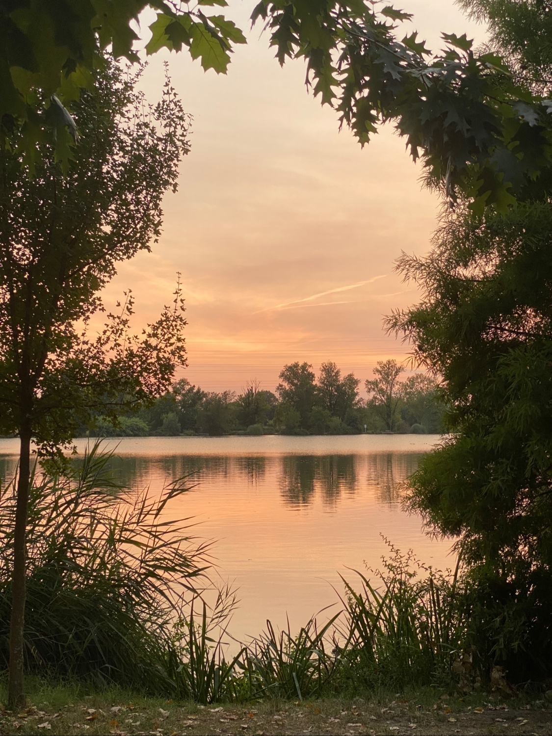 Photo n° 1 de l'avis de Gabriella. fait le 10/08/2022 à 20:04