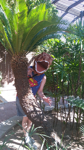 Museum «Rosson House Museum at Heritage Square», reviews and photos, 113 N 6th St, Phoenix, AZ 85004, USA